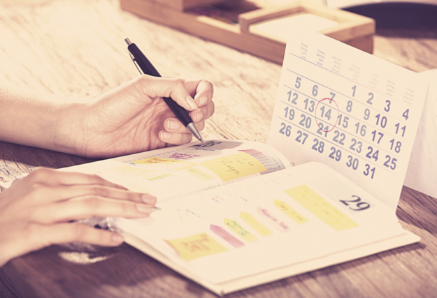 Therapy Planner: Appointment calendar for mental health professionals